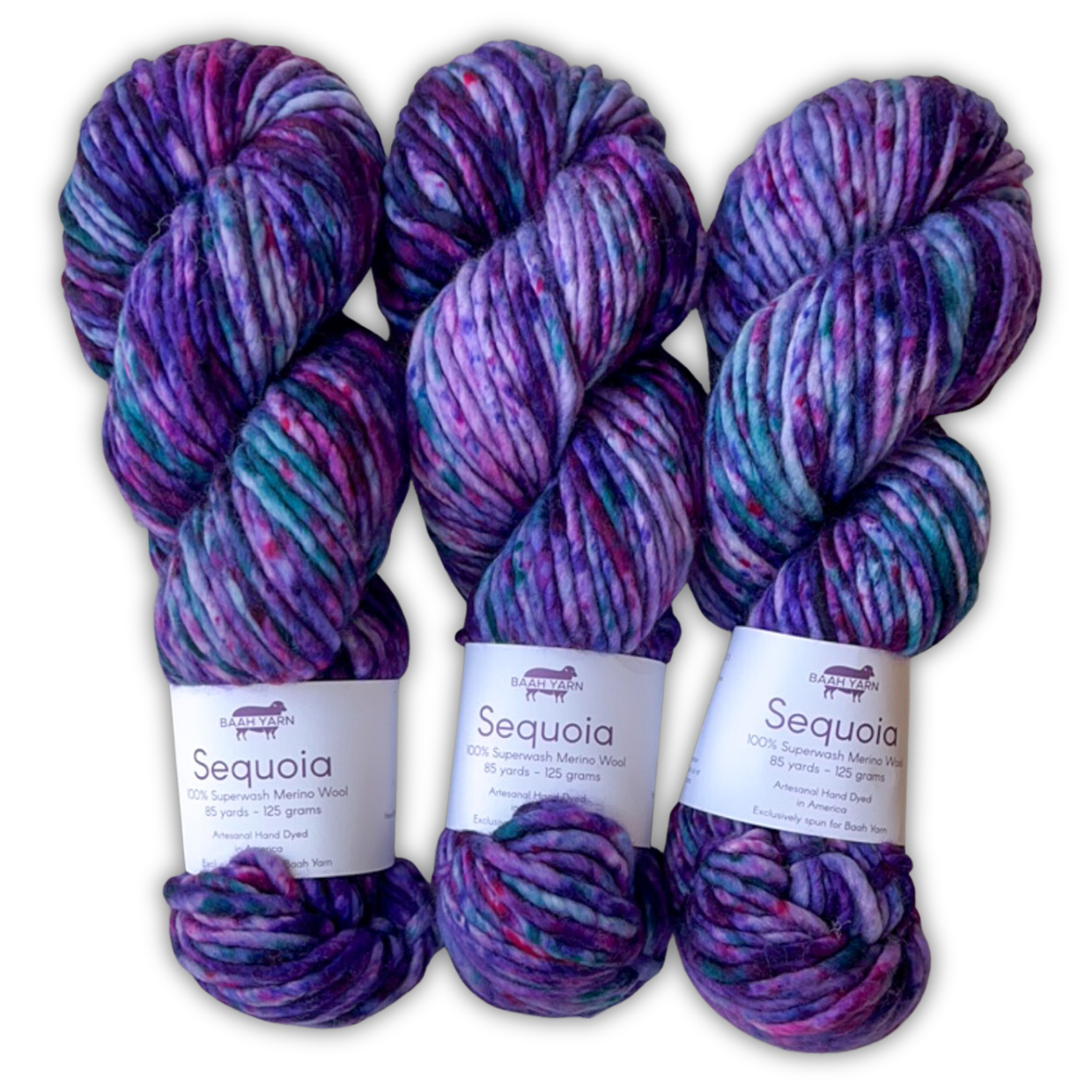 Sequoia - An Affair at the Square