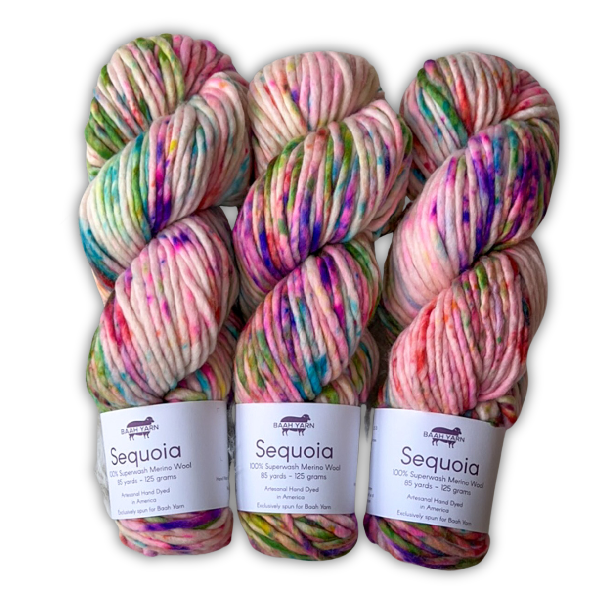 Sequoia - Dancing Queen